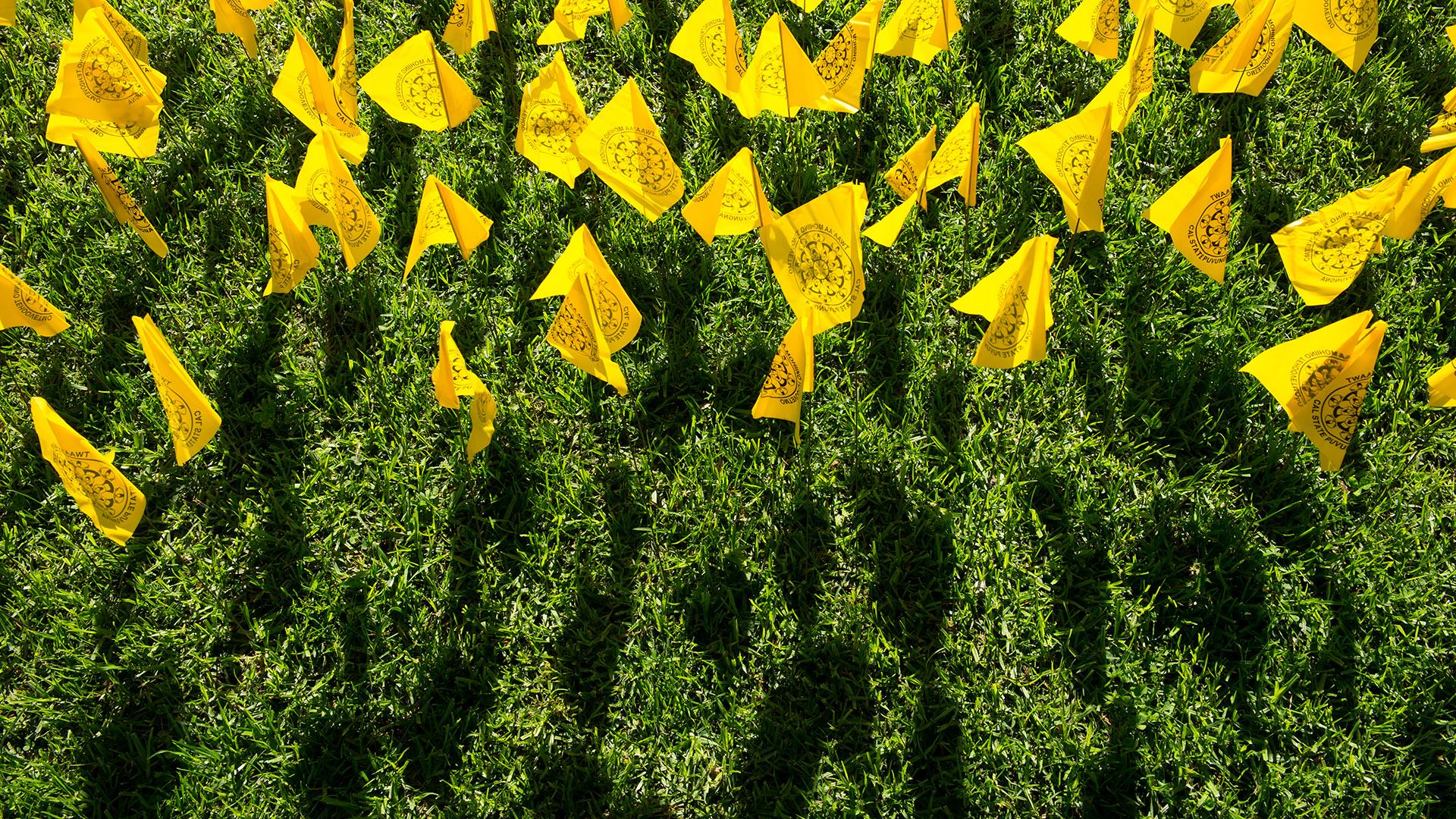 Native American Heritage Month