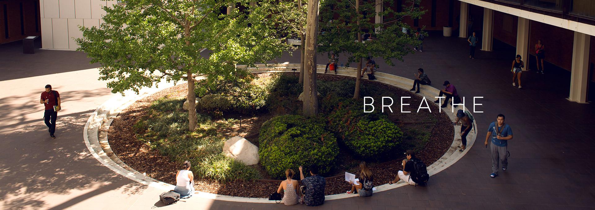 Image: banner_breathe0_0.jpg