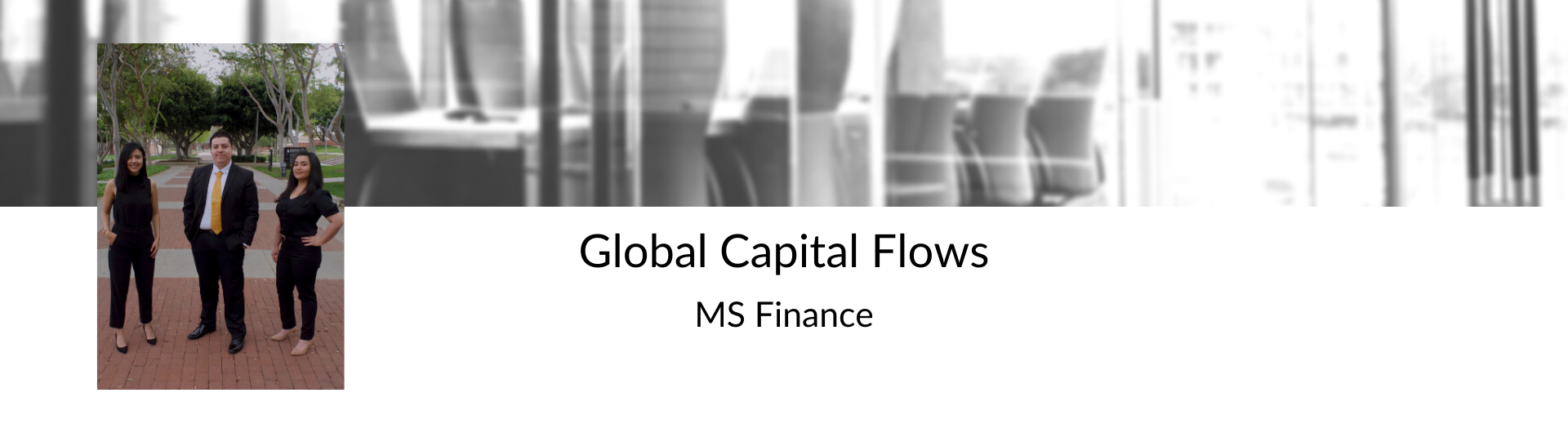 MS Finance Capital Flow Presentation Finance Symposium Beachfinrising