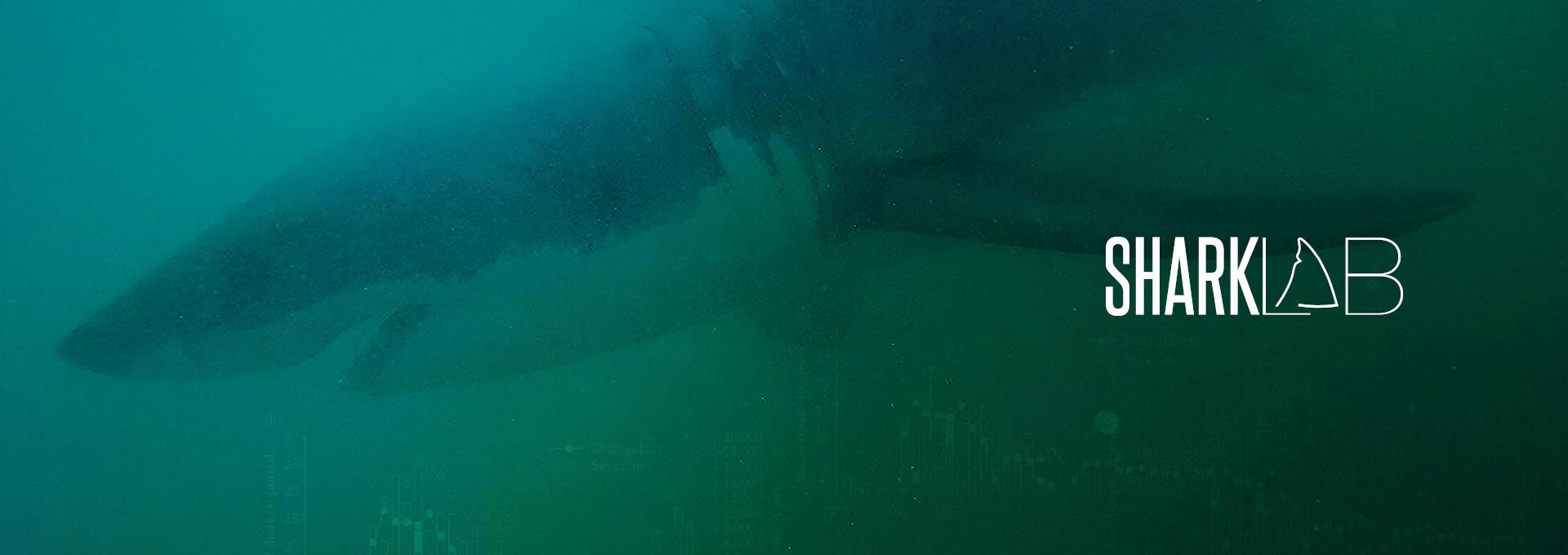 Image: banner_homepage_1920x680_2.jpg