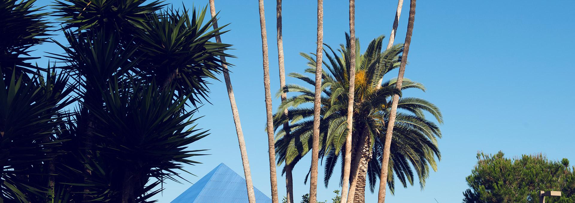 Image: banner_sustainability_0.jpg