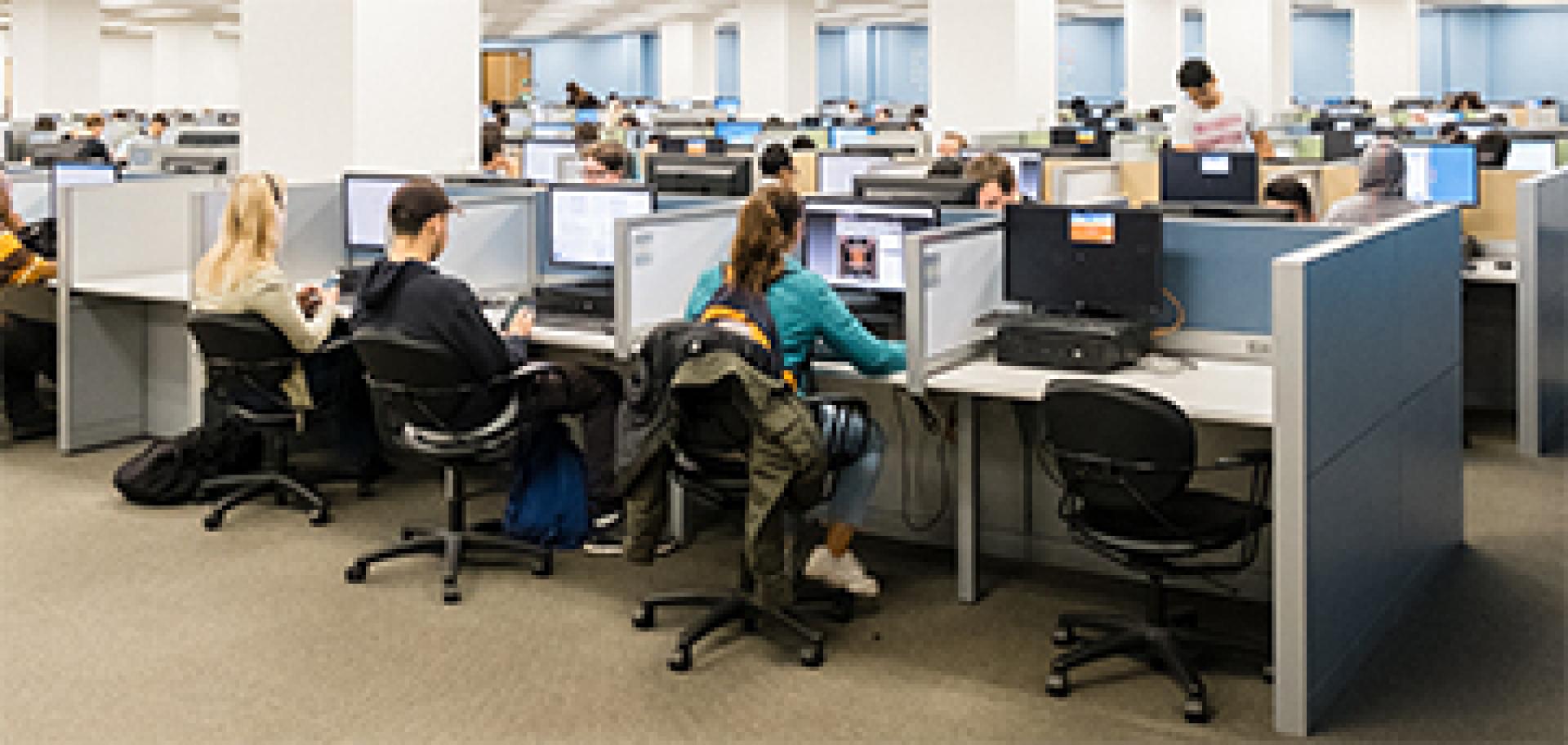 Students sitting at computers