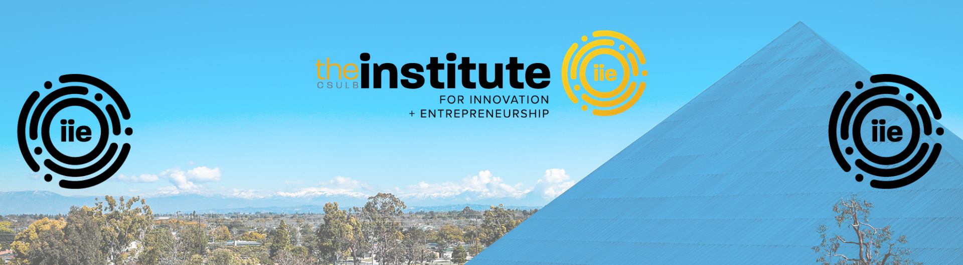 IIE banner
