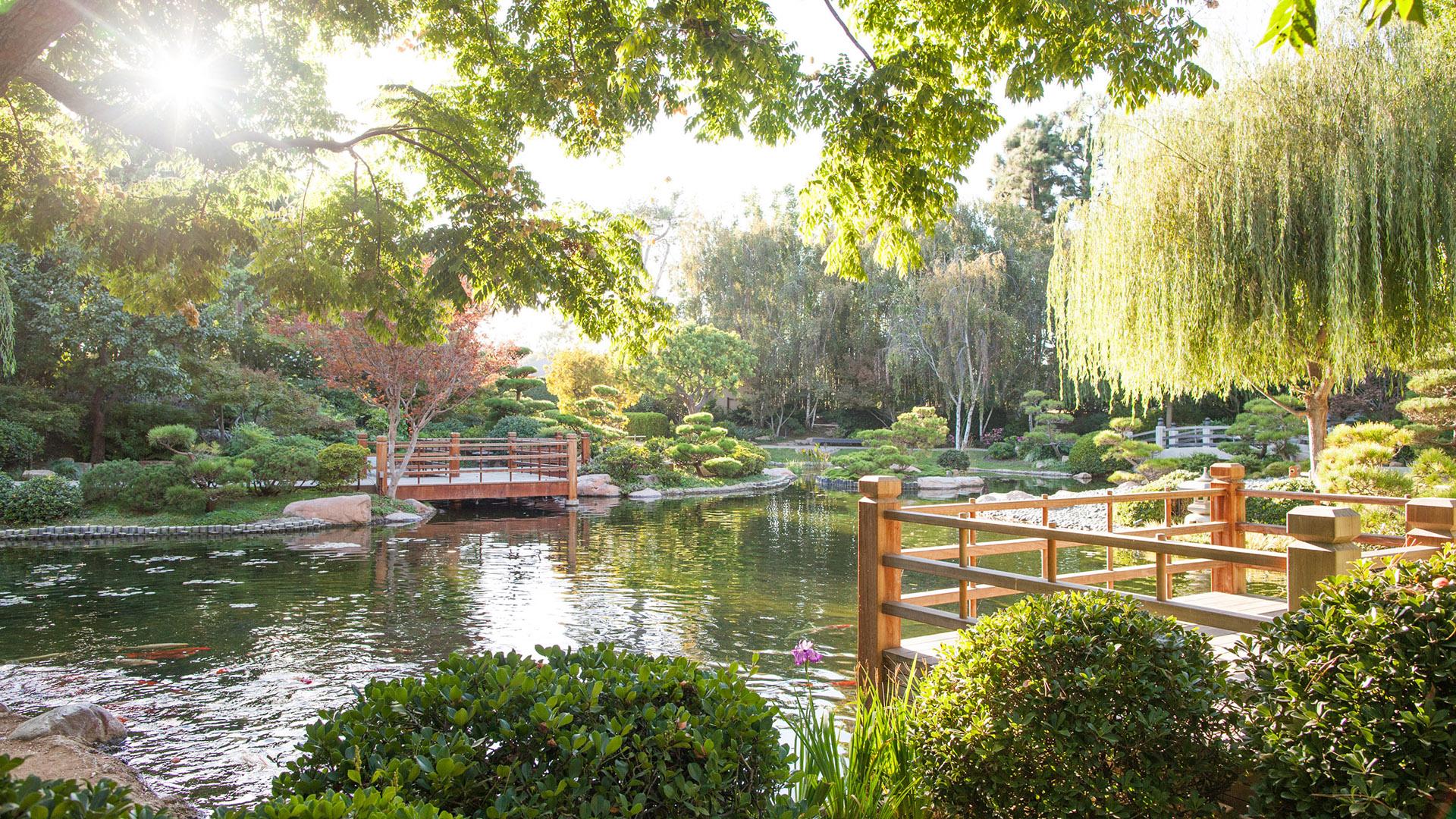 Japanese Garden