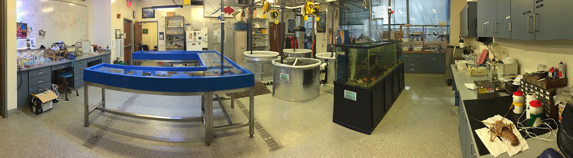 csulb marine lab panoramic view
