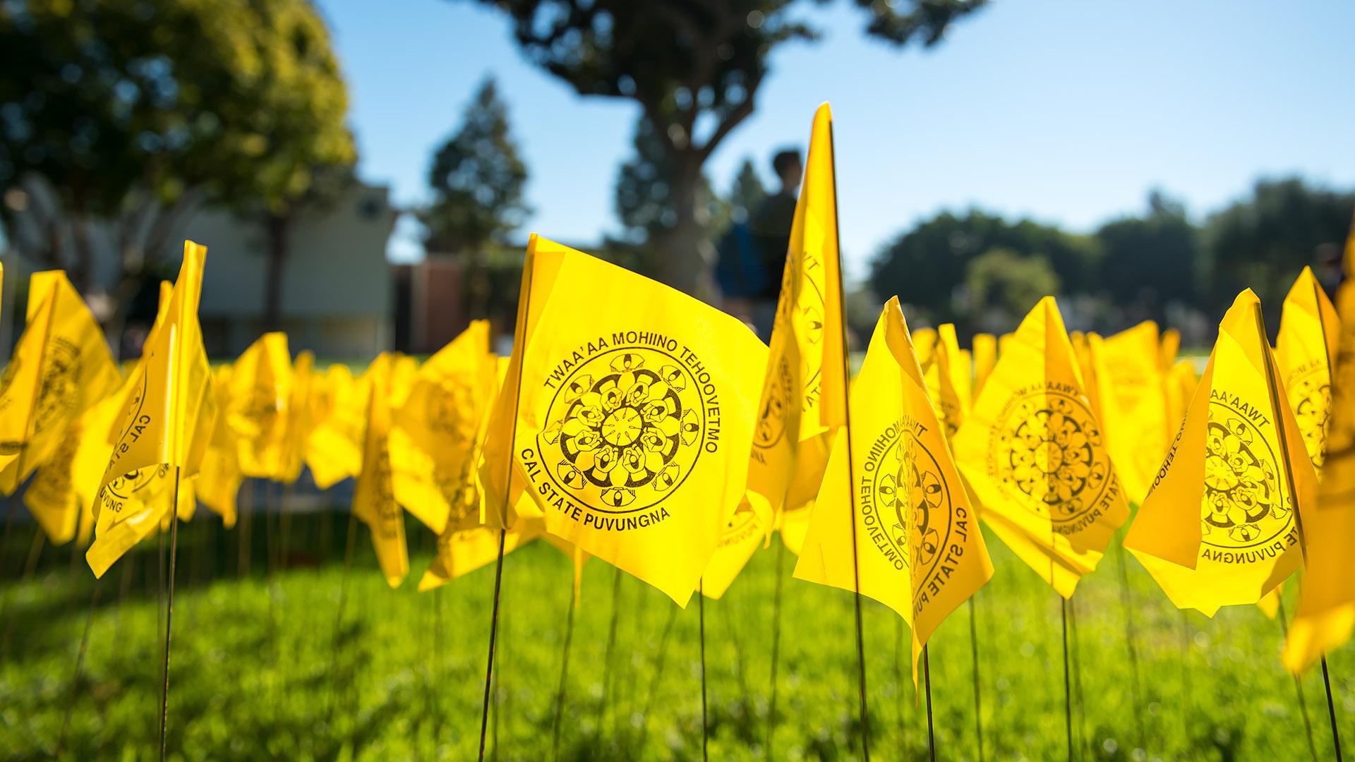 Hundreds of yellow flags stuck the grass