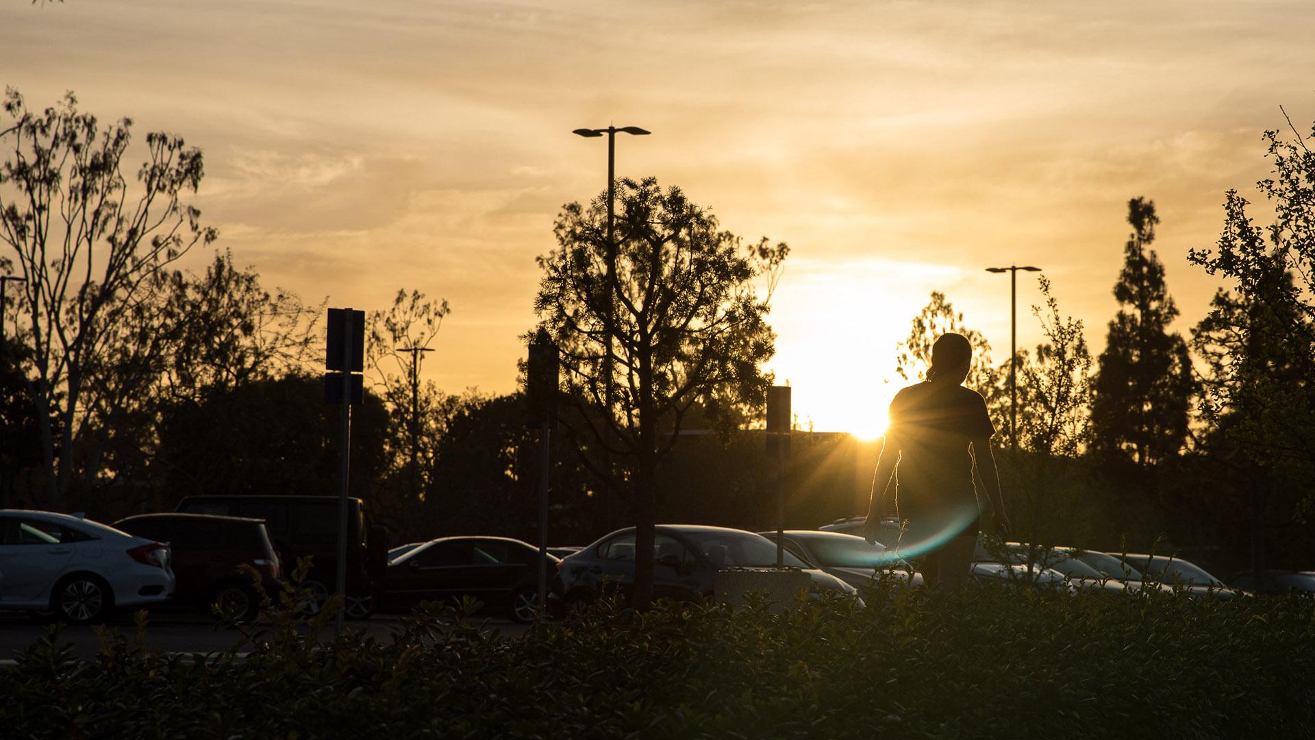 sunset on campus