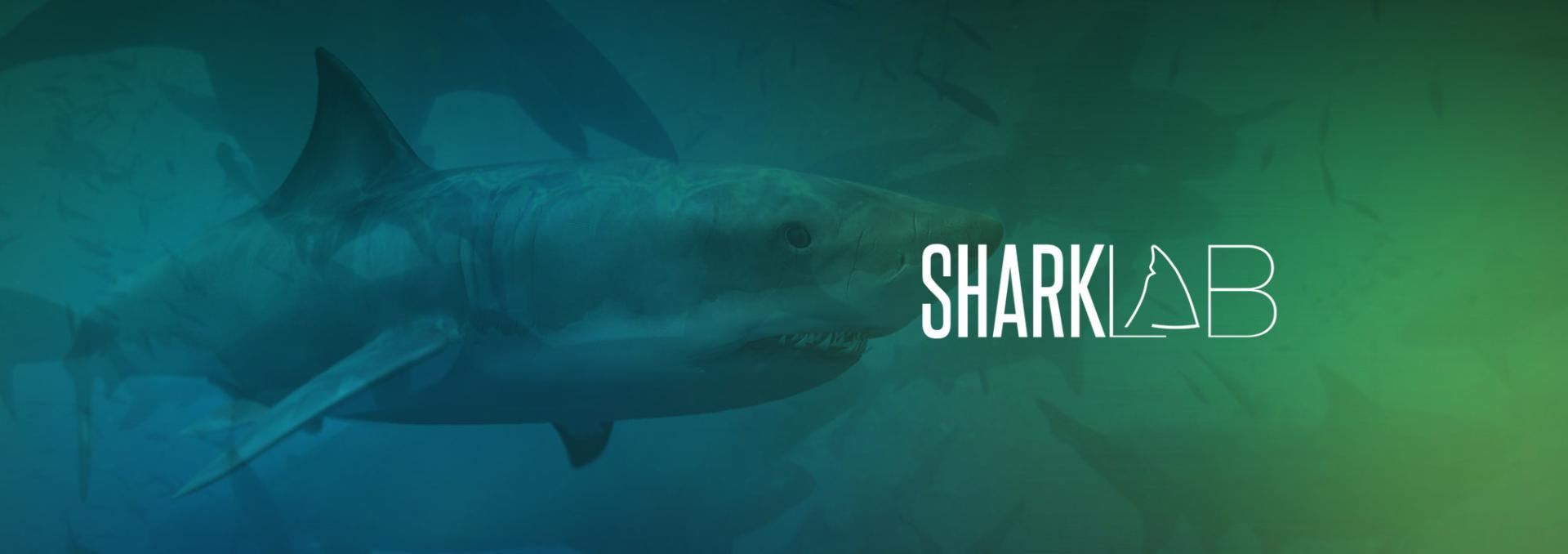 Image: sharklab-banner-1.jpg