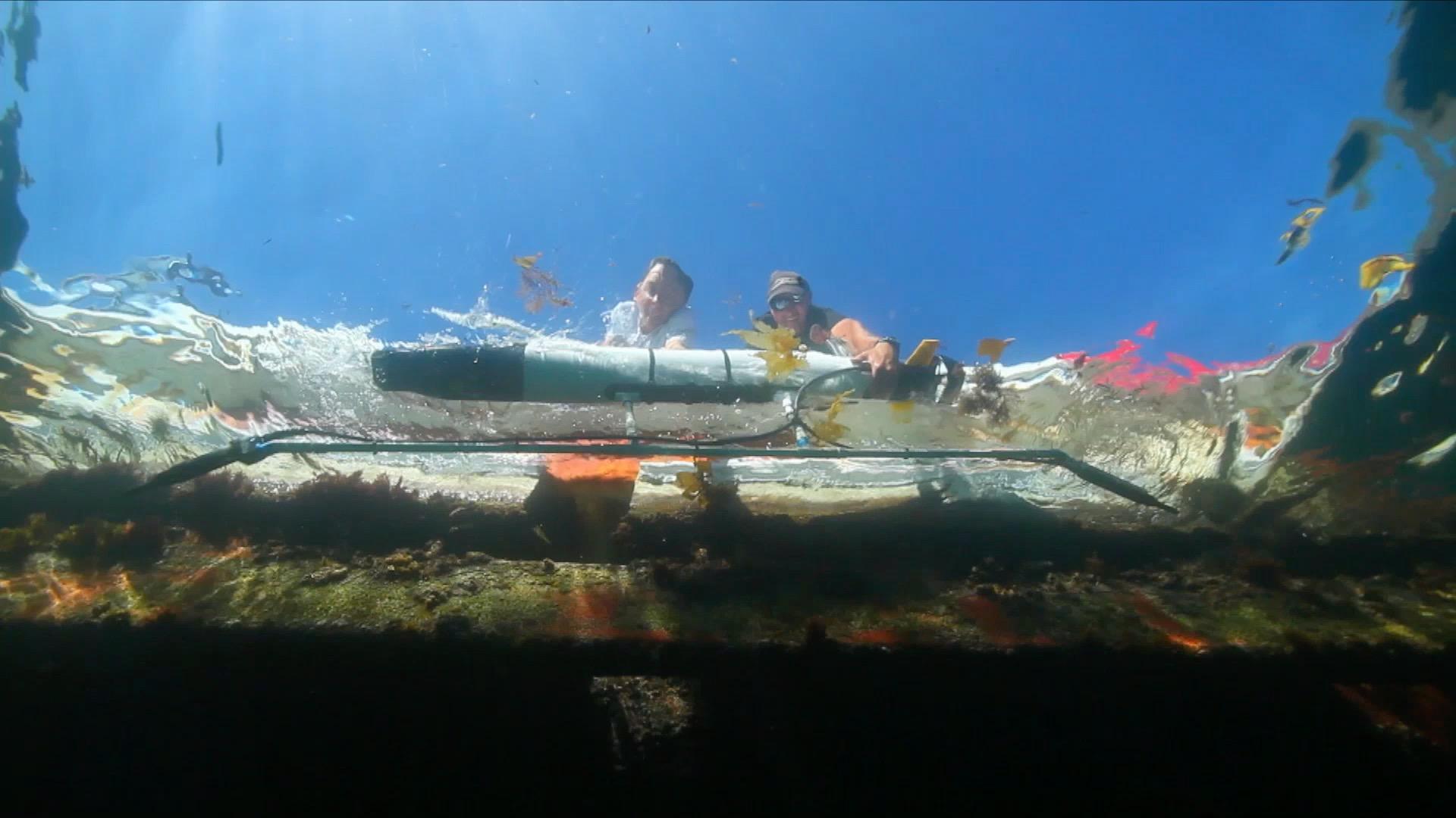 Image: sharklab-hero3_1.jpg