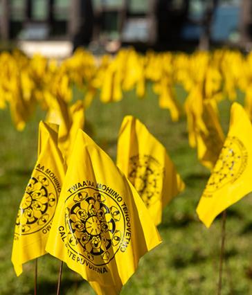 Small yellow flags on lawn 
