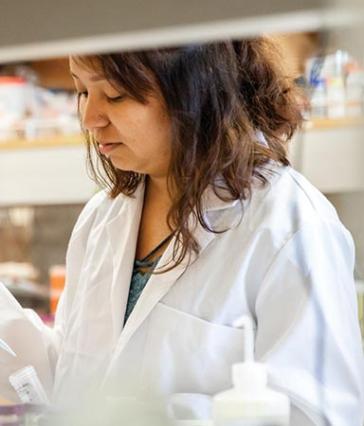 CSULB student in lab