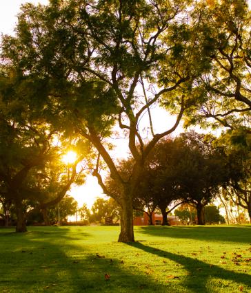 sunset on campus