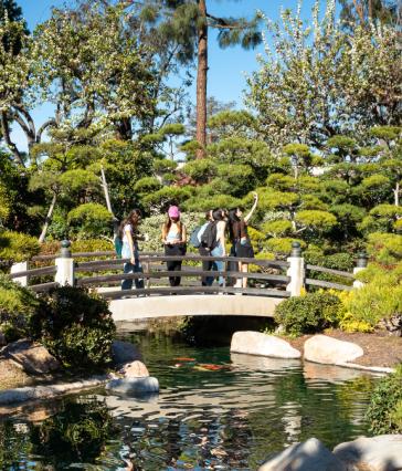 Bridge over Japanese Garden