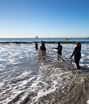 Students in tide pulling in nets