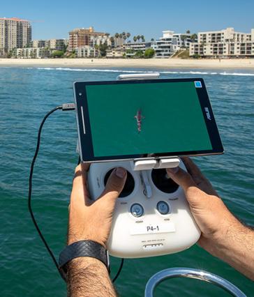 Computer captures drone footage of shark