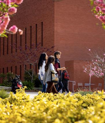 Students walking on campus