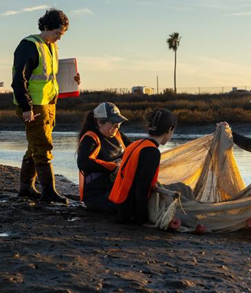 Three people look in a net at water's edge at sunrise