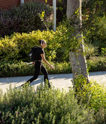 Student walking on path amid greenery
