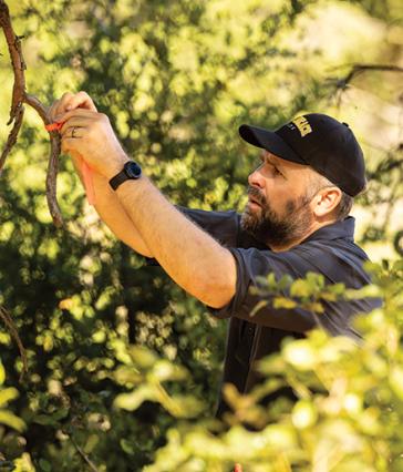 Man ties survey tape to a branch in a wooded area.