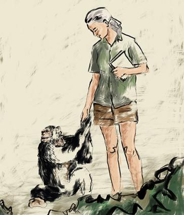 Jane Goodall with chimpanzee