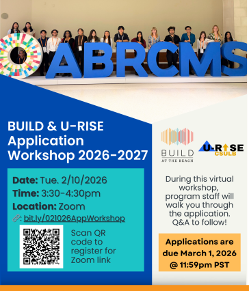 Decorative flyer BUILD and U-RISE Application Workshop