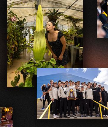 Top Stories of 2025 Tile 