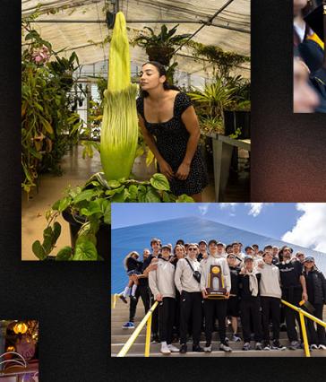 Top Stories of 2025 Tile 