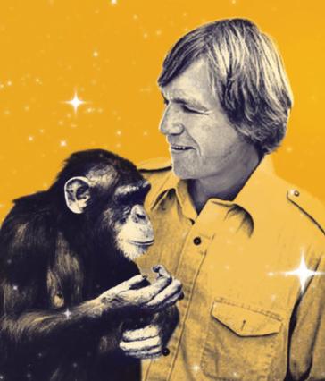 A yellow graphic featuring a man holding a chimp 