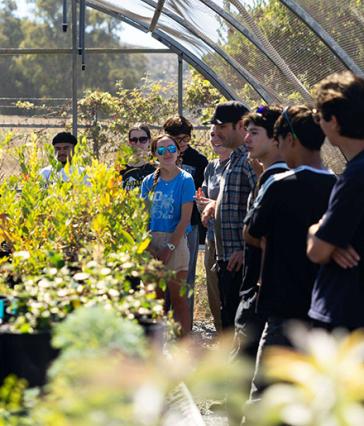 A group of people stand inside a greenhouse and look at plants