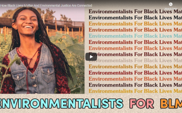 Leah Thomas - How Black Lives Matter and Environmentalism are Connected