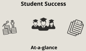 Student Success at a glance