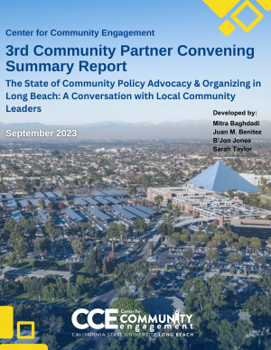 Summary report of 3rd community partner convening 