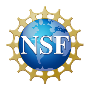 NSF NSF logo