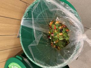 Green bin full of food waste