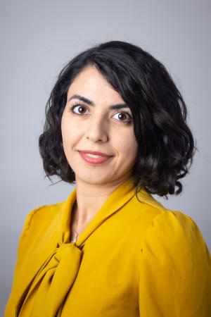 Dr. Ava Hedayatipour