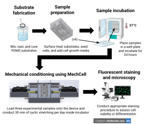 Team 1 MechCell Flowchart