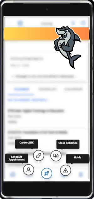 View of the home page of the Beach Connect Mobile App with Elbee the Shark