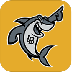 Beach GO app
