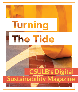 Turning the tide CSULB's Digital Sustainability Magazine Cover 