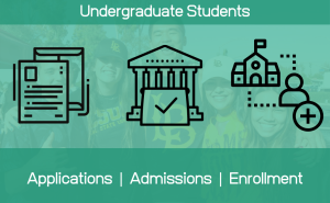 Undergraduate Applications Dashboard
