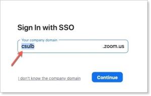 zoom-csulb.jpg zoom csulb domain