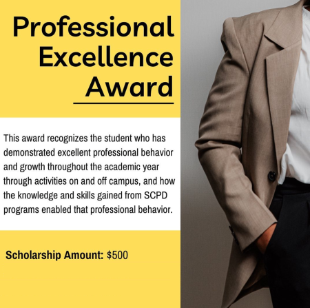 Professional Excellence Award