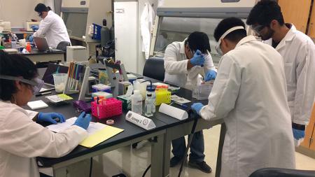 students learning in proteomics workshop