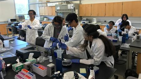 students working in the lab