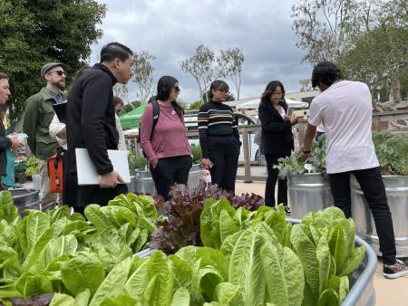 Sustainability Champions visit Grow Beach