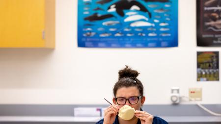 A student paints a replica of a humpback whale bone with a poster featuring a whale in the background.. A student paints a replica of a humpback whale bone with a poster featuring a whale in the background..