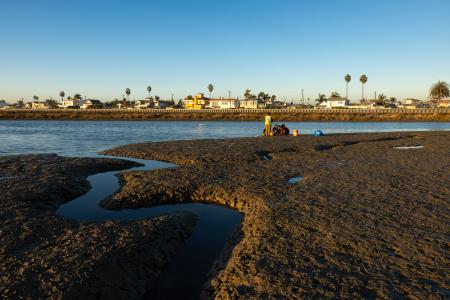 A muddy wetlands area