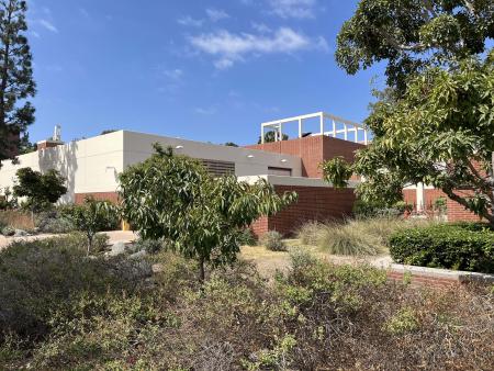 Trees and grass in front of a building