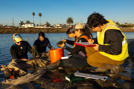 CSULB students study urban wetlands