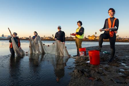 CSULB students standing in wetlands
